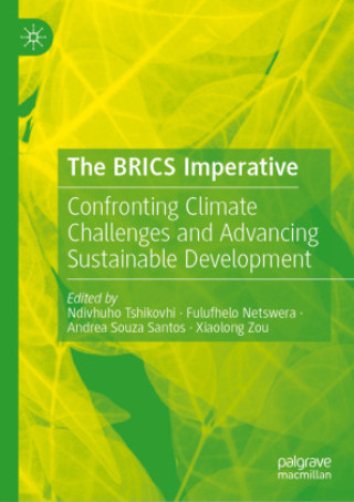 The BRICS Imperative