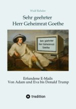 Sehr geehrter Herr Geheimrat Goethe