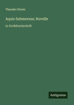 Aquis Submersus; Novelle