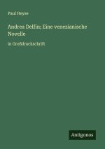 Andrea Delfin; Eine venezianische Novelle