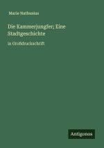 Die Kammerjungfer; Eine Stadtgeschichte