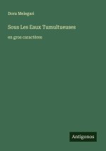Sous Les Eaux Tumultueuses