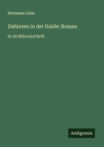 Dahinten in der Haide; Roman