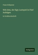 Weh dem, der lügt; Lustspiel In Fünf Aufzügen