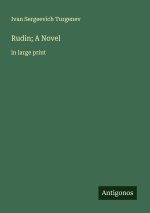 Rudin; A Novel