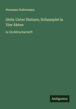 Stein Unter Steinen; Schauspiel in Vier Akten