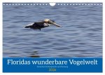 Floridas wunderbare Vogelwelt (Wandkalender 2026 DIN A4 quer), CALVENDO Monatskalender