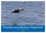 Floridas wunderbare Vogelwelt (Wandkalender 2026 DIN A2 quer), CALVENDO Monatskalender