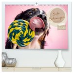 Süße Schnauzen (hochwertiger Premium Wandkalender 2026 DIN A2 quer), Kunstdruck in Hochglanz