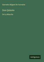 Don Quixote