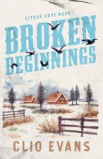 Broken Beginnings