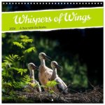 Whispers of Wings (Wall Calendar 2026 12 × 12 Inch) CALVENDO 12 Month Wall Calendar