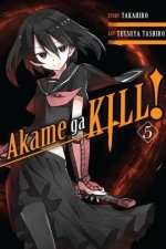 Убийца Акаме Zero. Akame ga Kill! Zero. 5 том