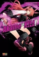 Убийца Акаме Zero. Akame ga Kill! Zero. 6 том