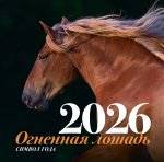 Символ года 