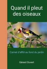 Quand il pleut des oiseaux