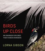 Birds Up Close