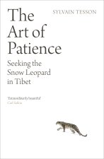 The Art of Patience
