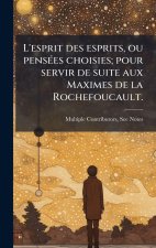 L'esprit des esprits, ou pensÃ(c)es choisies; pour servir de suite aux Maximes de la Rochefoucault.