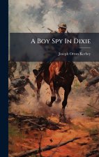 A Boy Spy In Dixie