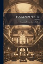 Fugleperspektiv