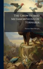 The Growth And Metamorphosis Of Tornaria