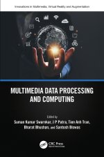 Multimedia Data Processing and Computing
