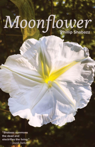 Moonflower