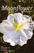 Moonflower