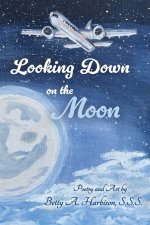Looking down on the Moon