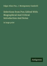 Selections from Poe; Edited With Biographical And Critical Introduction And Notes