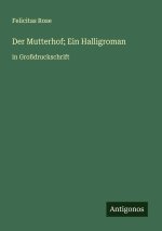 Der Mutterhof; Ein Halligroman