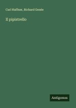Il pipistrello