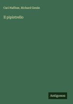 Il pipistrello