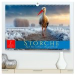 Störche - Zeit für schöne Augenblicke (hochwertiger Premium Wandkalender 2026 DIN A2 quer), Kunstdruck in Hochglanz