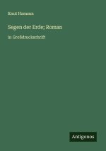 Segen der Erde; Roman