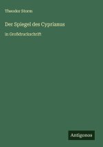 Der Spiegel des Cyprianus