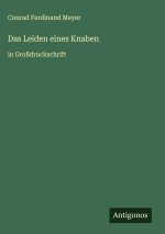 Das Leiden eines Knaben