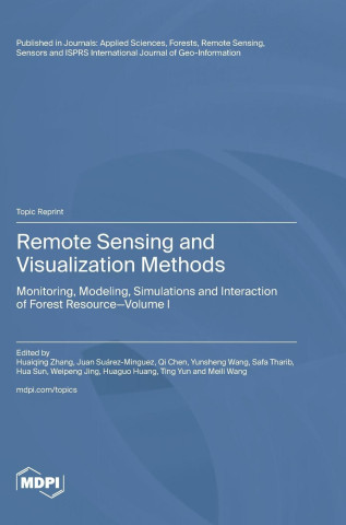 Remote Sensing and Visualization Methods