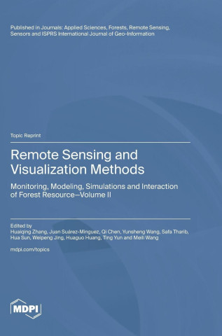 Remote Sensing and Visualization Methods