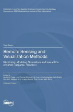 Remote Sensing and Visualization Methods