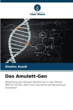 Das Amulett-Gen
