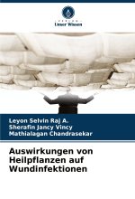 Auswirkungen von Heilpflanzen auf Wundinfektionen