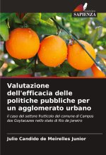 Valutazione dell'efficacia delle politiche pubbliche per un agglomerato urbano