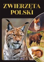 Zwierzęta Polski