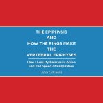 The Epiphysis and How the Rings Make the Vertebral Epiphyses