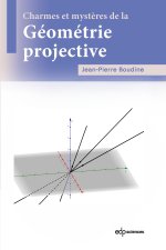 Charmes et mystères de la géométrie projective