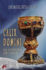 CALIX DOMINI