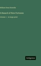 A Hazard of New Fortunes