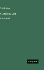 A Little Boy Lost